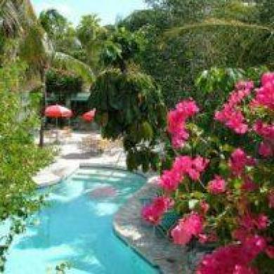 Turtle Cove Inn Экстерьер фото