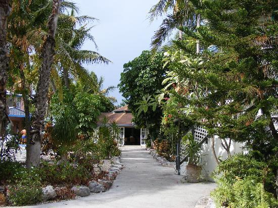 Turtle Cove Inn Экстерьер фото